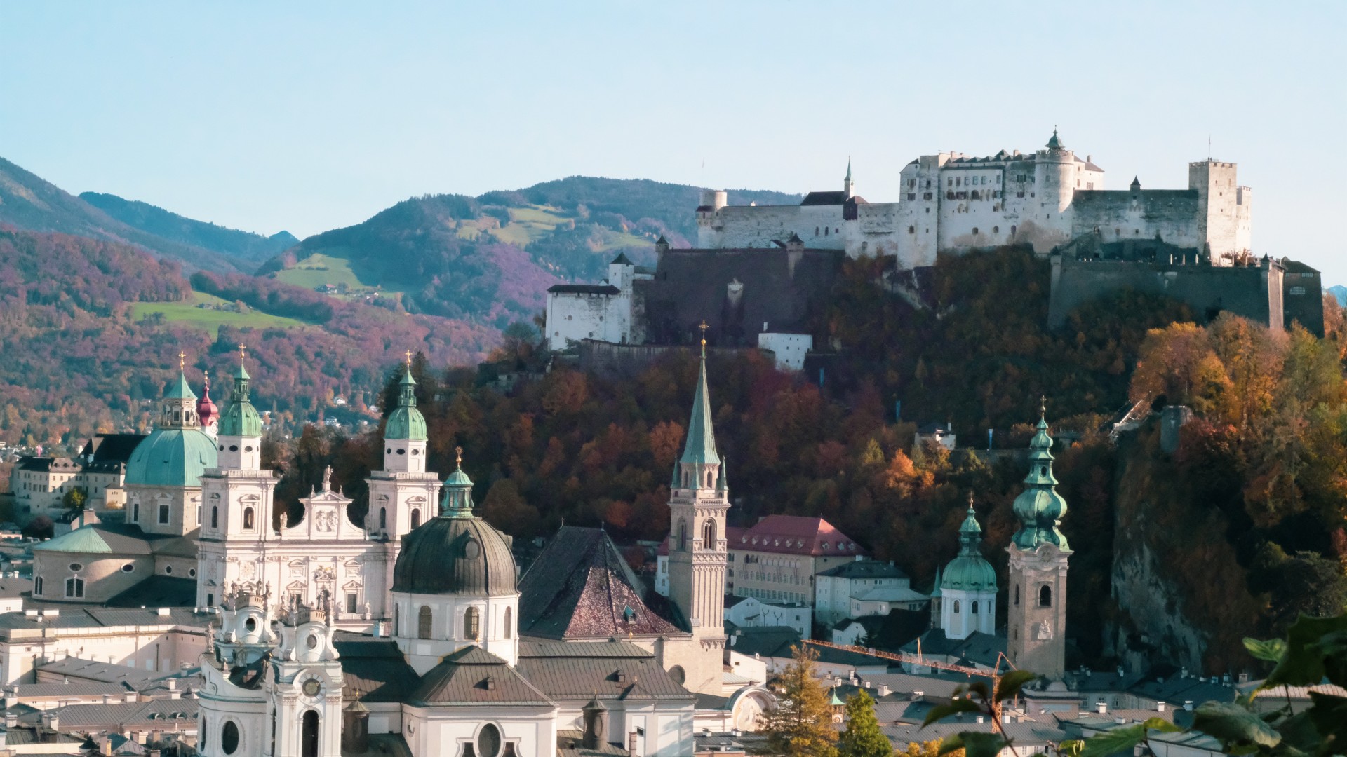 ÖGIM Jahrestagung Banner